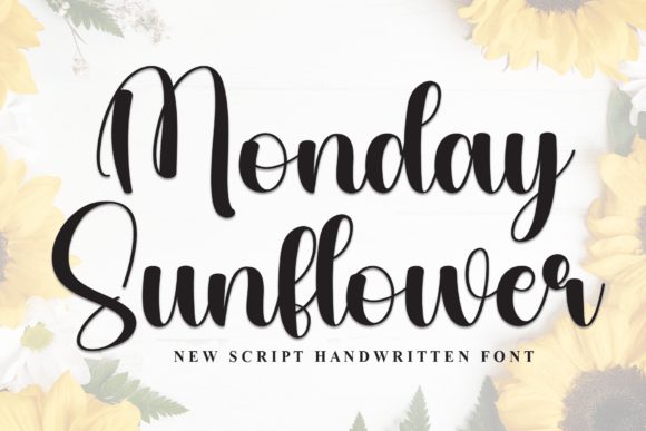 Monday Sunflower Font: A Designer’s Branding Test