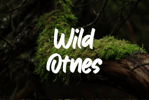Wild Otnes Font: Elevating Digital Brand Identity